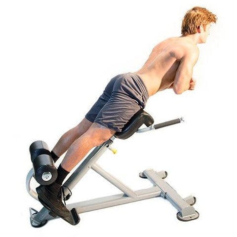 The Abs Company Lumbar X Back Extension Bench